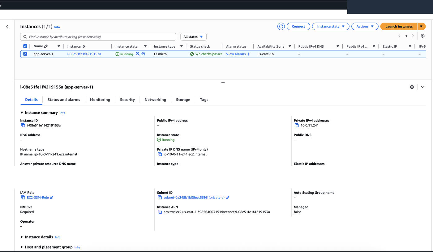 EC2 instance with no public IPv4 address